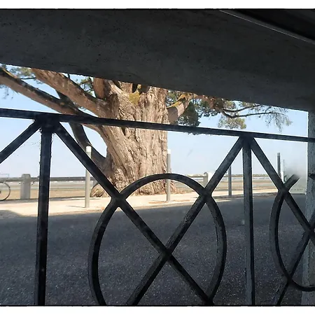 Et Jardin * سان تروجان لو بين